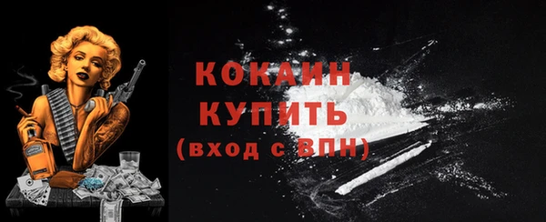 гидра Кулебаки
