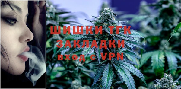 гидра Кулебаки