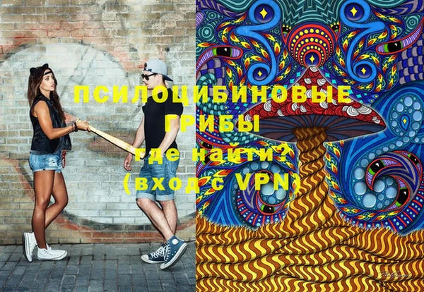 spice Кукмор