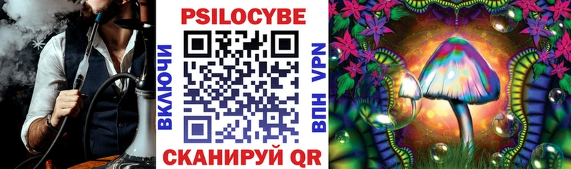 где продают   Рубцовск  Галлюциногенные грибы мухоморы 